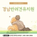 선샤인 반려견 유치원 이미지