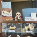 [파주 신세계 프리미엄 아울렛 카페] 슬로스타임 방문 후기🍰☕️