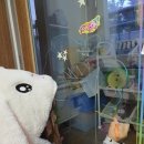 협심어린이집 | 말 더듬는 아이 이유 원인, 치료해야 할까 6세 후기