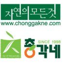 총각네야채청과 네이버블로그