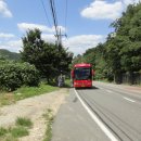 상지목장 이미지