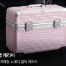 볼트짐 | 리드볼트 오딧플랩 캐리어 장점부터 단점까지 내돈내산 기내용 추천 후기