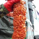 비안도수산 이미지