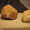 대흥빵꾸