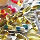 고려애견 이미지