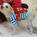 (주)토담 이미지