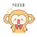 카페529