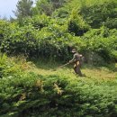 (주)금강조경 이미지