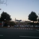 야음초등학교 이미지