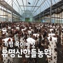 참바른농원 | 오늘N 가평 목이버섯 유명산한들농원 생목이버섯 위치 주문 방법