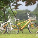 로즈웨이펜션 이미지