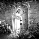 성실세탁 이미지