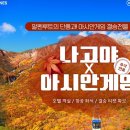 야구루트