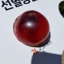 길림농장 이미지