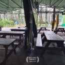 몽산포파인 이미지