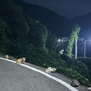 GR(남해군)-[남해대로]-상-10 | [남해여행] 여태 가본 곳 중 제일 친절했던 '바다아이...내돈내산 연박 솔직후기 (전객실 오션뷰, 전기...