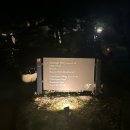 4박 6일 직장인 세부 여행 / 막탄 화이트 샌즈 리조트 숙박 후기 (벌써 크리스마스 가득)