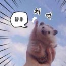 휴지기 | 20대 직장인 스트레스성 휴지기 탈모 이겨낸 후기!!(판토모나 인생템!)
