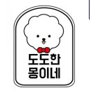 몽이네 애견샵 이미지