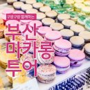 부산마카롱집추천 마카롱덕후와 함께 희희당, 지미지니팍후기