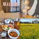 루시드엠 | <루시드엠> 유채꽃 명소 산방산 뷰와 무료 조식 서비스가 있는 서귀포 펜션