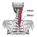 국가대표 체형교정센터 이미지