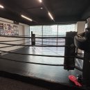 라온복싱 이미지