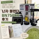 그린스무디 블렌더 추천｜닌자 프로페셔널 플러스 블렌더 듀오 BN750KR 내돈내산