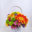 도장초등학교 병설유치원 이미지