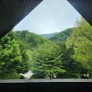국립복주산자연휴양림 이미지