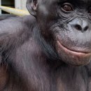 gc-camera-049 이미지