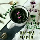 오늘도웃자 Daum카페