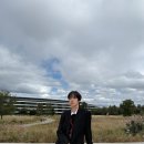 세련미