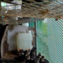 상방농장 이미지