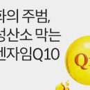 버썸버디짐 이미지