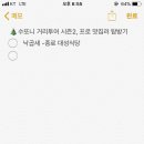 대성투어 이미지