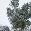 소롯골가든 이미지