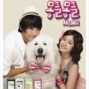 몽글몽글 이미지