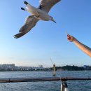 주식회사 요트탈래 이미지