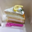 티나케이크(tinacake)