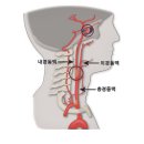 서울삼성신경과의원 이미지