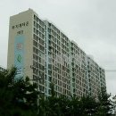 무지개전기조명 이미지