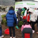 고경초교 이미지