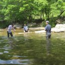 동안성병원 이미지