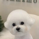꼬망모르 이미지