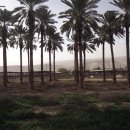 광야농장 이미지