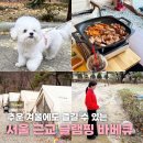 서울애견 | 겨울에도 즐길 수 있는 서울 근교 피카푸 피크닉앤글램핑 | 애견동반 후기
