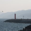 강구항횟집