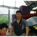 이가네농장 이미지