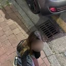 정곡상지 이미지